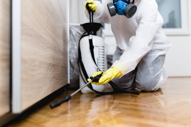 Best Exterminator Services  in Minerva, OH