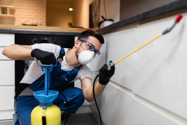 Trusted Minerva, OH Pest Control Experts