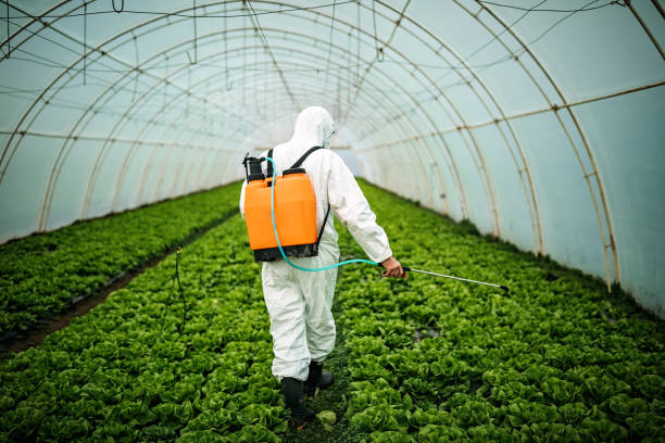 Best Emergency Pest Control  in Minerva, OH