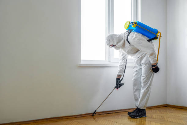Best Best Pest Control Companies  in Minerva, OH
