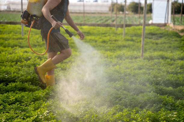 Best Pest Inspection Near Me  in Minerva, OH
