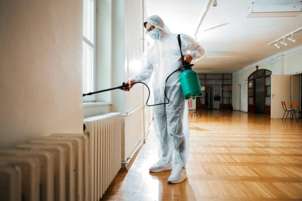 Best Wasp Removal Services  in Minerva, OH