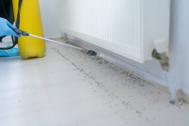 Best Cockroach Control Services  in Minerva, OH