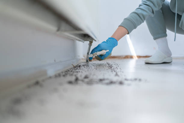 Best Mosquito Control Services  in Minerva, OH
